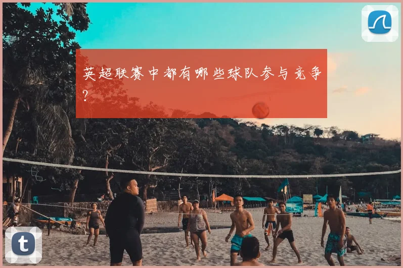 英超联赛中都有哪些球队参与竞争?